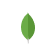 mongodb Icon